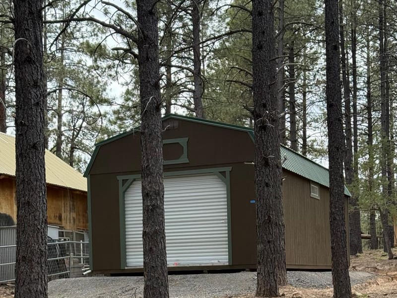 A dark shed with a roll-up door placed among tall pine trees