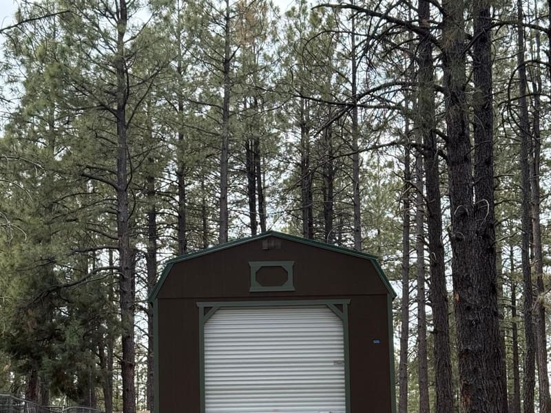 A dark shed with a roll-up door among pine trees, a closer angle